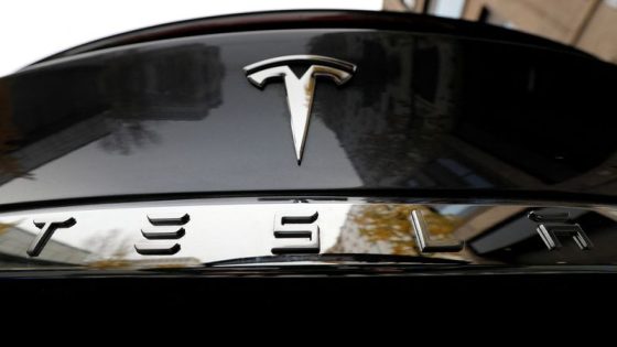 Tesla’s shift on low-cost cars throws Mexico, India factory plans into limbo – MASHAHER