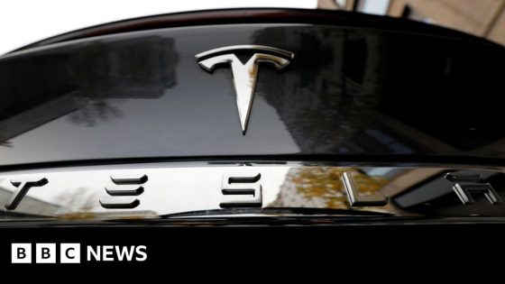 Tesla profits nosedive as more job cuts announced – MASHAHER