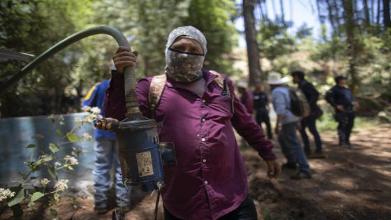 Angry farmers in a once-lush Mexican state target avocado orchards that suck up too much water – MASHAHER