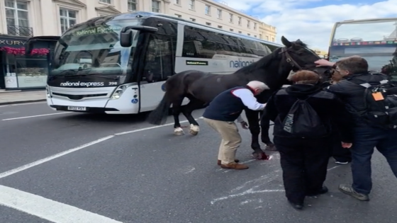 Moment members of public step in to calm horse charging through London – MASHAHER