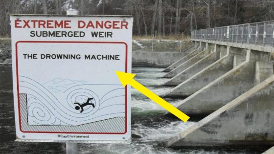 18 Creepy And Terrifying Signs That’ll Give You The Biggest Case Of Heebie-Jeebies – MASHAHER