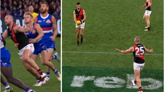 Kyle Langford steals Jake Stringer goal as Essendon Bombers beat Western Bulldogs, news, video, reaction – MASHAHER