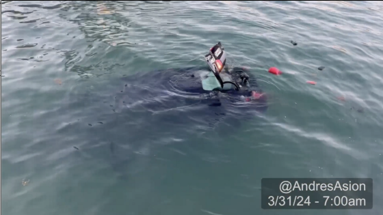 Man drove onto Miami Beach marina boardwalk — and plunged into the ocean, video shows – MASHAHER