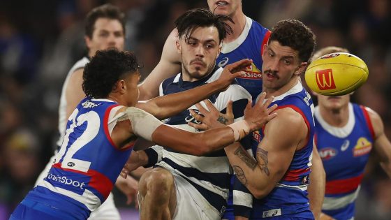 Live AFL scores 2024, Western Bulldogs vs Geelong Cats, Round 4 Gather Round, stats, updates, how to stream, teams, news – MASHAHER