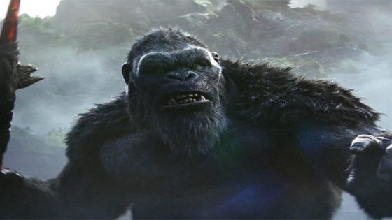 Godzilla x Kong Box Office: Film stays quite good on Saturday as well, crosses Rs. 25 crores in 2 days :Bollywood Box Office – MASHAHER