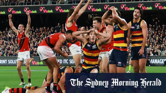 AFL admits error, as debate rages over Scott Draper non-call in Bombers and Crows clash – MASHAHER