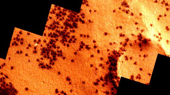 Orbiter Spots “Spiders” on Surface of Mars – MASHAHER