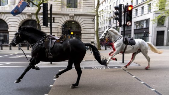 Blood-Soaked Royal Horses Escape and Bolt Through London – MASHAHER