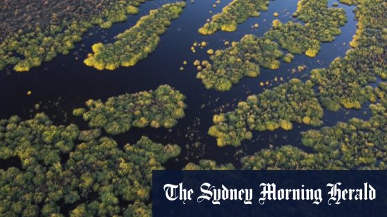 Plibersek swamps Victoria on Murray Darling water buybacks – MASHAHER