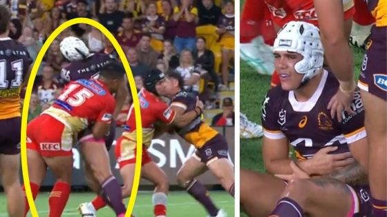 Anthony Milford savaged over Reece Walsh ’dog shot’ – MASHAHER