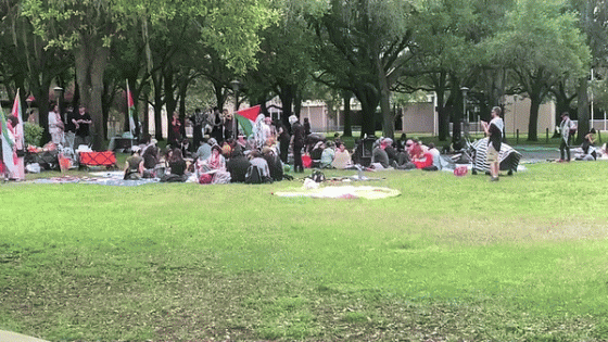 Pro-Palestine Protesters Return to University of South Florida Campus in Tampa – MASHAHER