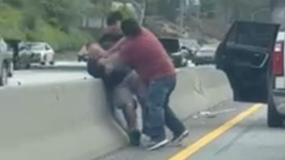 Apparent road rage brawl on busy Los Angeles freeway caught on video – MASHAHER