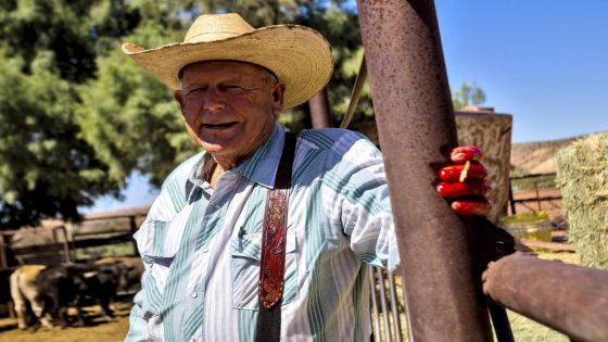 10 years after armed standoff with federal agents, Bundy cattle are still grazing disputed rangeland – MASHAHER