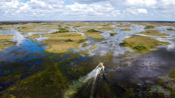 Florida airboat flips sending 9 passengers into gator-infested waters, operator arrested – MASHAHER