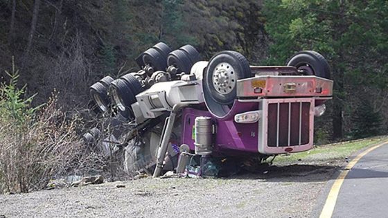 Tens of thousands of live salmon fell off a truck in Oregon – and into a creek – MASHAHER