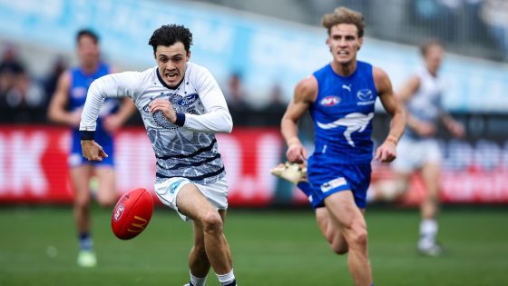 Live AFL scores 2024, Geelong Cats vs North Melbourne Kangaroos, Round 5 updates, stats, blog, how to stream, teams, latest news – MASHAHER