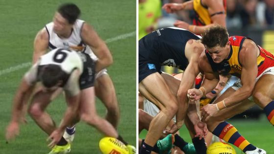 David King slams AFL after Zak Butters is cleared, calls for Laura Kane to review verdict, Match Review Officer, Matt Crouch one week suspension, reaction, Leigh Montagna comments, First Crack, latest news – MASHAHER