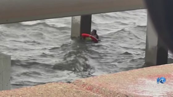 Woman was ‘close enough to hear him screaming’ with man in water under Willoughby Bay Bridge – MASHAHER