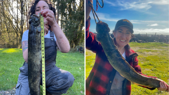 Woman in Oregon reels in record-breaking fish: ‘Very strong’ – MASHAHER