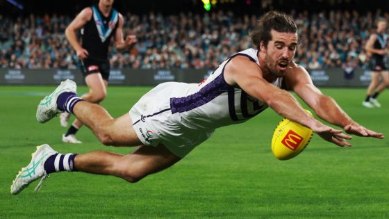 Ken Hinkley declares Fremantle Dockers defender Alex Pearce the best key defender in AFL this season – MASHAHER