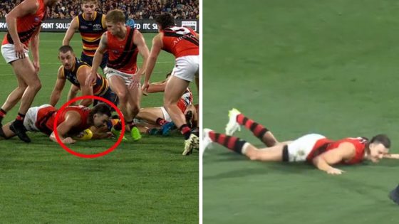 Sam Draper dives on ball in ending of Essendon Bombers win over Adelaide Crows, umpire doesn’t call holding the ball, Draper taunt, Taylor Walker, video, reaction, response, latest news – MASHAHER