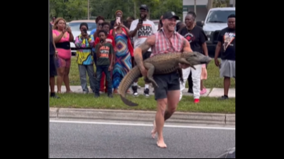 Barefoot man recorded jumping on alligator in Florida highway. ‘Hold my sweet tea’ – MASHAHER