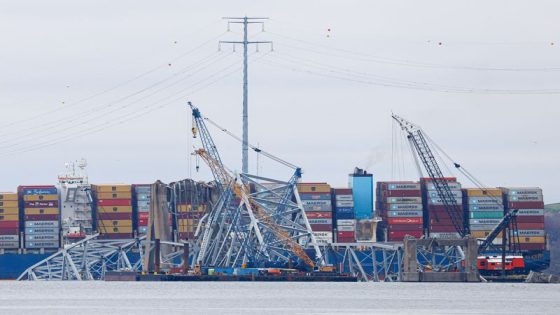 Trapped vessels start to move out of Baltimore following bridge disaster – MASHAHER