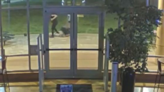 Victim punched and kicked more than 50 times in ‘unprovoked attack’ at Folsom park – MASHAHER