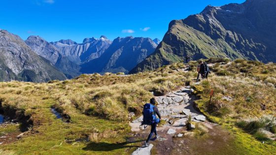 Walking tall on NZ’s Milford Track – MASHAHER