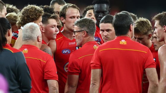 David King says Gold Coast Suns can win a flag in the next few years, Damien Hardwick, showing Richmond hallmarks, three monsters up forward, Ben King, Jed Walter, Ethan Read, First Crack, latest news – MASHAHER