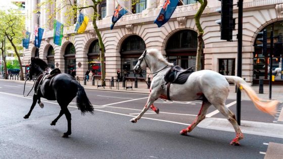 Loose horses, 1 soaked in blood, wreak havoc in central London – MASHAHER