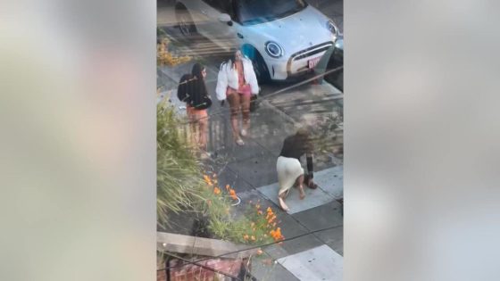 Attack by an alleged sex worker on San Francisco homeless woman caught on camera – MASHAHER