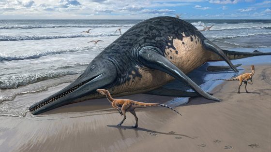 Giant, 82-foot lizard fish discovered on UK beach could be largest marine reptile ever found – MASHAHER