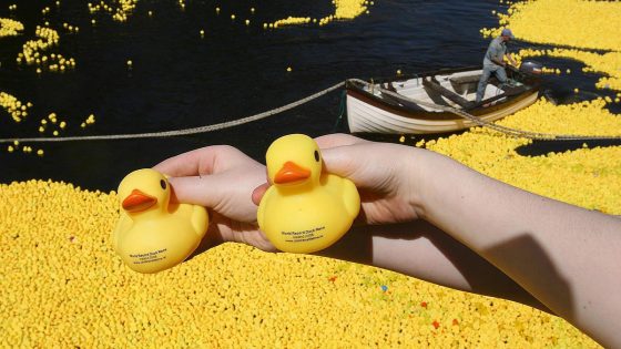 Rubber duck lost at sea for 18 years found 423 miles away from its origin in Dublin – MASHAHER