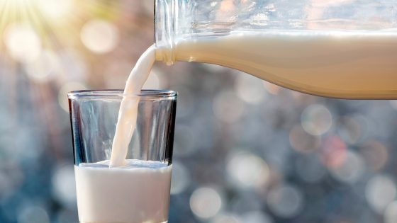 Traces of bird flu virus found in some milk and pasteurized dairy, FDA says – MASHAHER