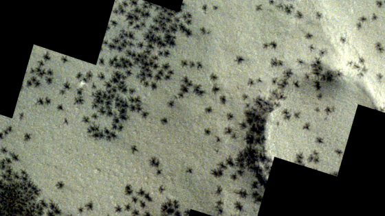 A spacecraft captured images of “spiders” on the surface of Mars. Here’s what they really are. – MASHAHER