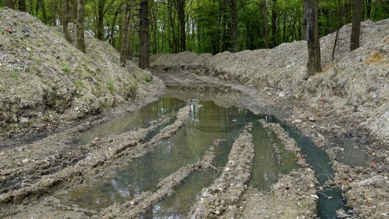 Ancient bluebell woodland smothered in illegal waste as campaigners tell authorities to ‘do the right thing’ | UK News – MASHAHER