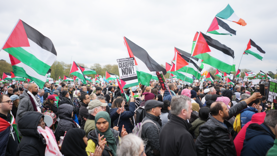 Pro-Palestinian protests: Man arrested for carrying swastika placard and another held for racist remarks at London march | UK News – MASHAHER