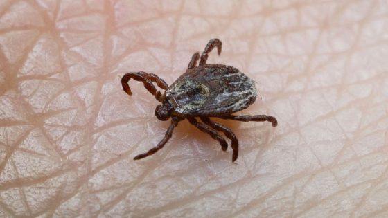 Climate change could cause spike in ticks – and drive up Lyme disease cases | UK News – MASHAHER