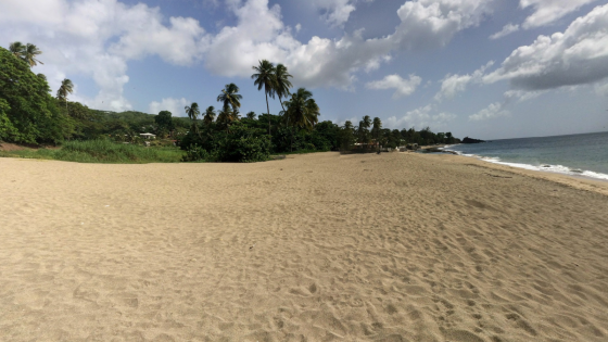 British tourist attacked by shark in Trinidad and Tobago | World News – MASHAHER