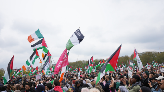 Two men arrested at pro-Palestine march including one holding ‘swastika placard’ – MASHAHER