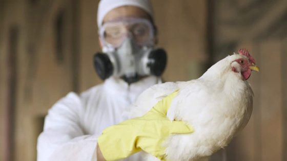 H5N1 bird flu has now spread to every continent except Australia. How can we prepare? – MASHAHER