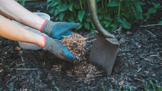 EPA’s asbestos warning: Free mulch found online could be contaminated – MASHAHER