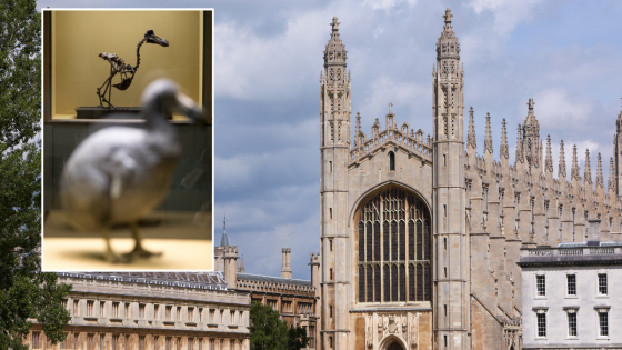 University of Cambridge looking for students to ‘decolonise dodos and tigers’ – MASHAHER