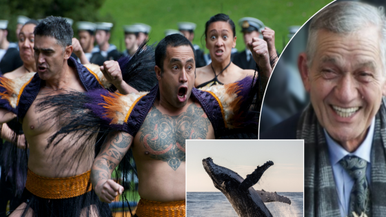 Maori king says Whales are HUMANS in push for legal rights for the giant mammal – MASHAHER