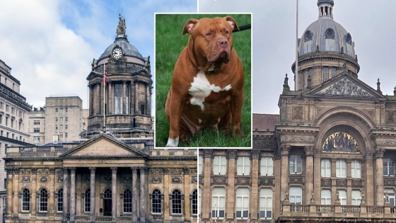 Councils have spent over £7k each destroying XL Bullies since ban came in – MASHAHER