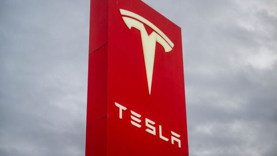 Tesla driver ‘using autopilot’ charged after car ‘lurched forward’ and killed motorcyclist – MASHAHER