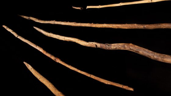 Was the Stone Age Really the Wood Age? – MASHAHER