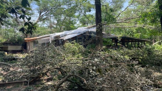 Grassroots School buried under trees, buildings destroyed, but its community has hope – MASHAHER