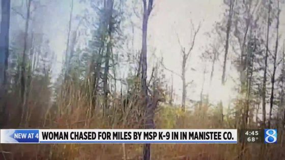 MSP K-9 tracks crash suspect through miles of swamp – MASHAHER